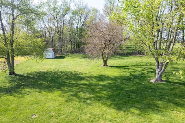 view of yard with a storage shed and an outbuilding