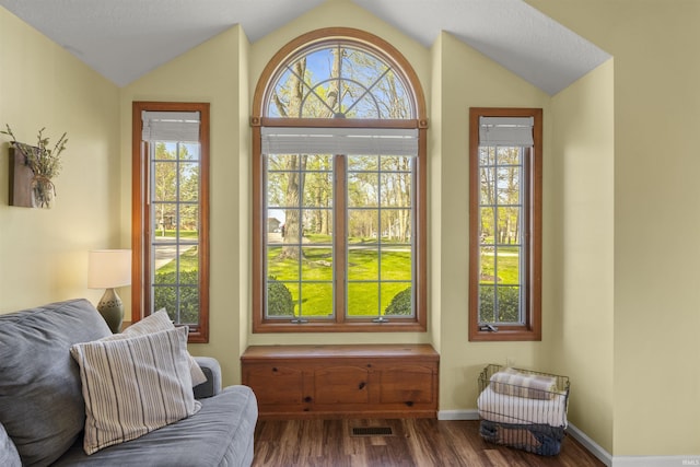doorway to outside with dark wood-style flooring, a wealth of natural light, and lofted ceiling