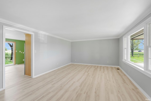 9231 Minnich Rd, Fort Wayne, IN 46816 - unfurnished room with baseboards, ornamental molding, light wood-style flooring, and a wealth of natural light