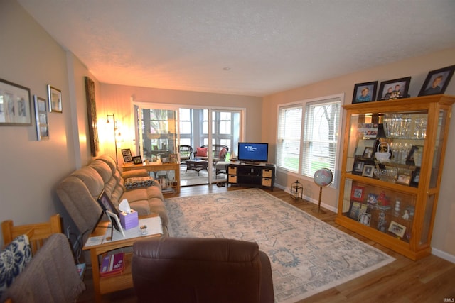 10035 N Turkey Creek Rd, Syracuse, IN 46567 - living area with baseboards and wood finished floors