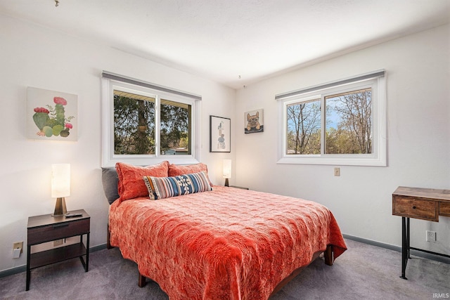 29130 County Road 22, Elkhart, IN 46517 - bedroom with baseboards, multiple windows, and carpet