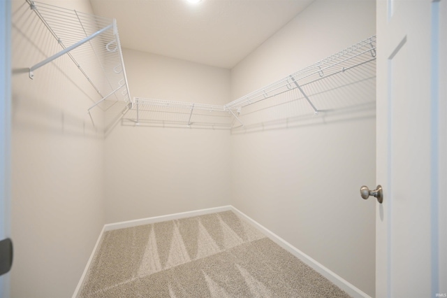 walk in closet with carpet