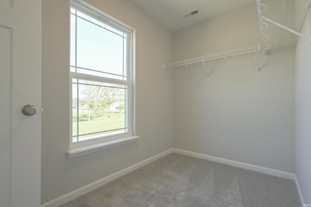 spacious closet with visible vents and carpet floors