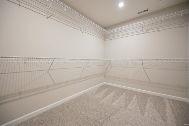 spacious closet featuring visible vents and carpet floors