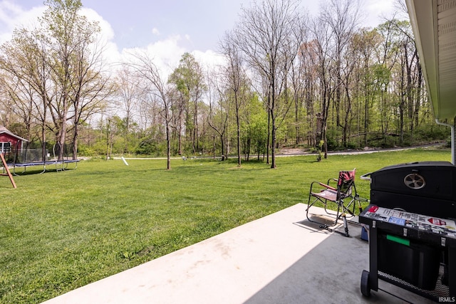 view of yard featuring a trampoline and a patio
