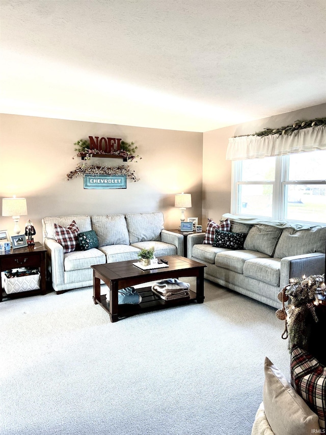 living room with carpet flooring and a textured ceiling