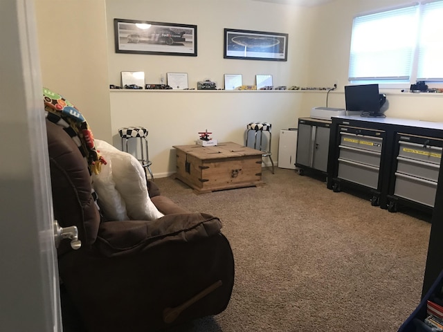 interior space featuring carpet floors