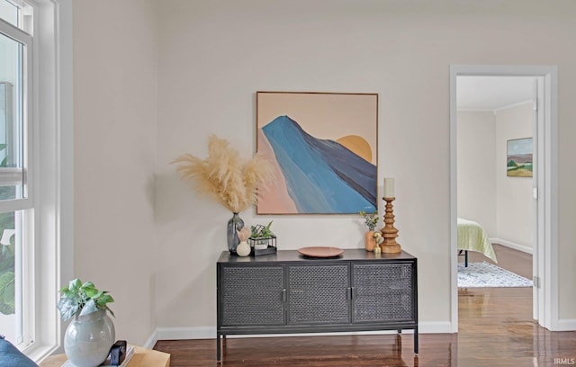 details with baseboards and wood finished floors