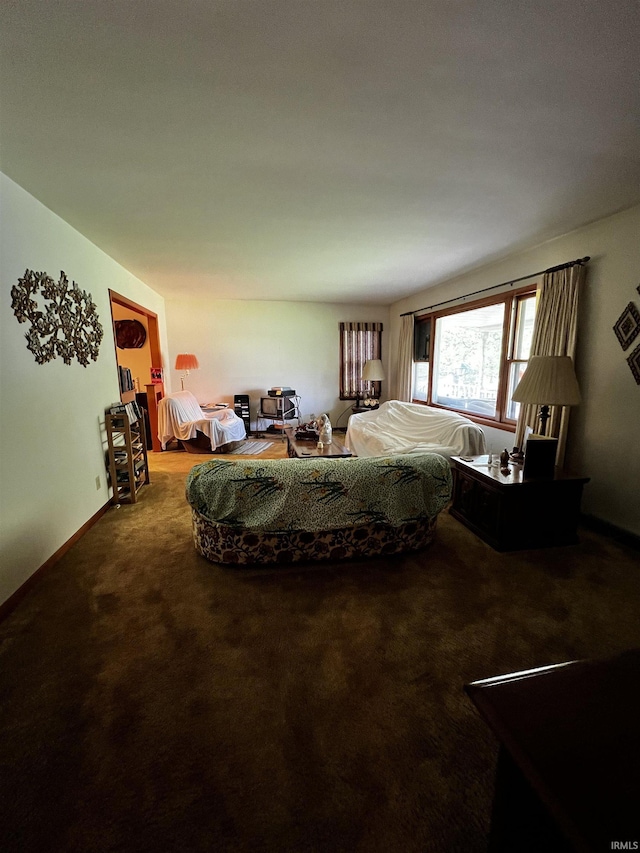 607 Troy Rd, Washington, IN 47501 - view of carpeted bedroom
