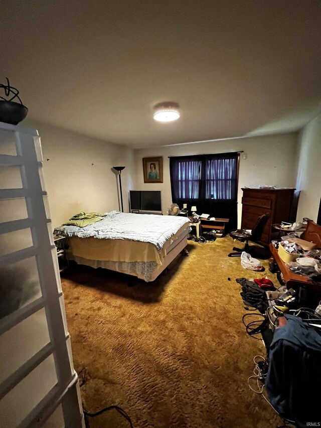 607 Troy Rd, Washington, IN 47501 - view of carpeted bedroom