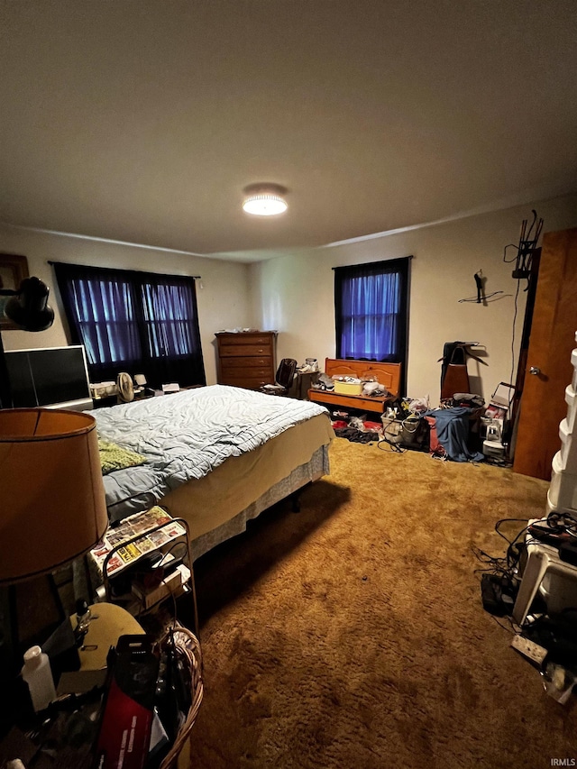 607 Troy Rd, Washington, IN 47501 - bedroom featuring carpet
