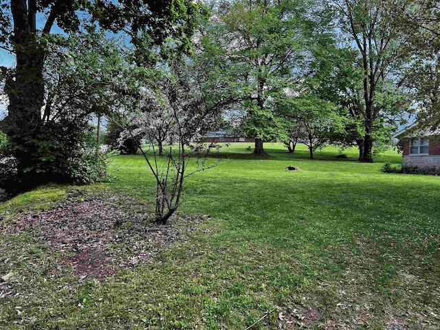 view of yard