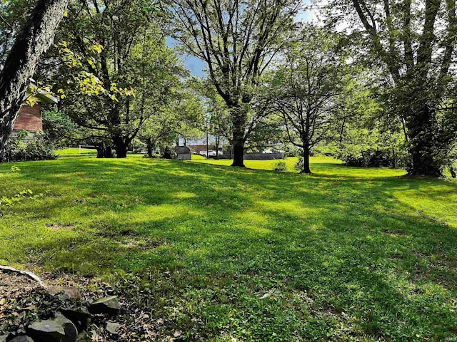 view of yard