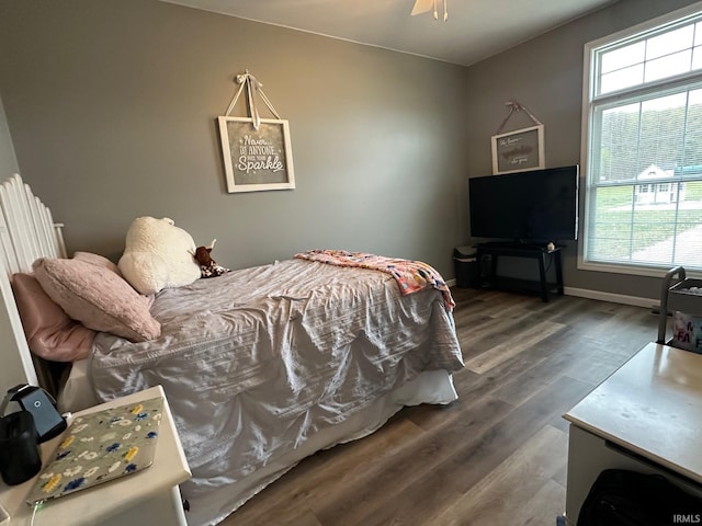 8679 E 850th St, New Carlisle, IN 46552 - bedroom with baseboards, wood finished floors, and multiple windows