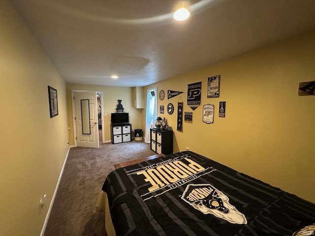 8679 E 850th St, New Carlisle, IN 46552 - bedroom with baseboards and carpet