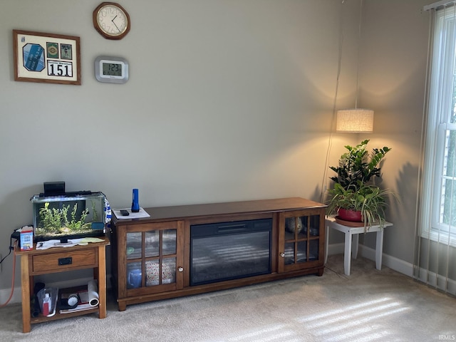 4530 E 700 N, Monterey, IN 46960 - interior details featuring carpet floors and baseboards