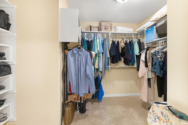 spacious closet featuring carpet