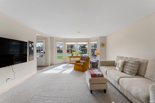 carpeted living area with baseboards and ornamental molding