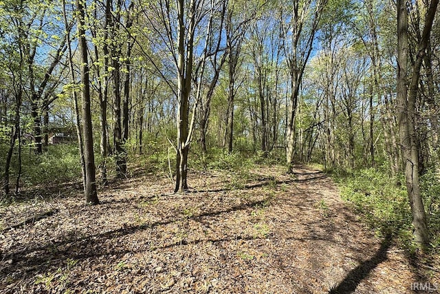55960 County Road 23, Bristol, IN 46507 - view of local wilderness featuring a wooded view