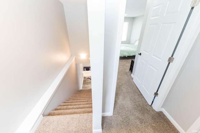 stairs featuring baseboards and carpet