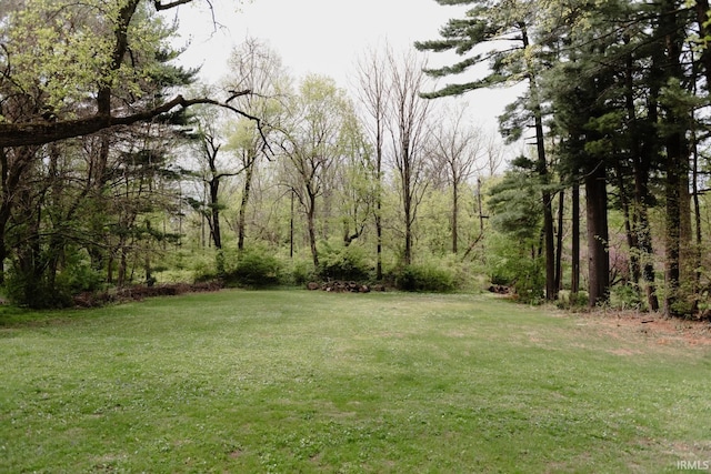 view of yard featuring a wooded view