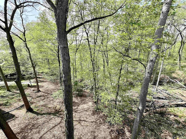 view of nature featuring a view of trees