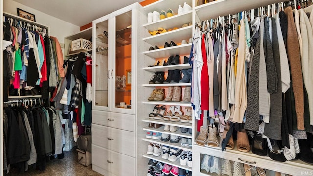 view of walk in closet