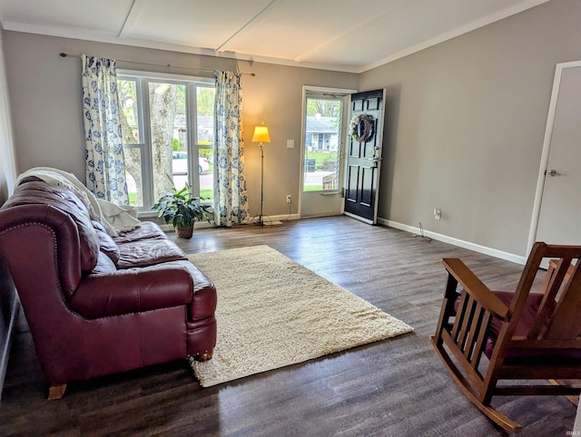 living room with baseboards, wood finished floors, and a wealth of natural light