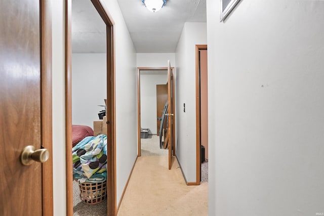 corridor with light colored carpet