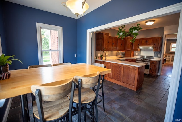 10220 6b Rd, Plymouth, IN 46563 - kitchen featuring appliances with stainless steel finishes, under cabinet range hood, light countertops, dark stone finish flooring, and a peninsula
