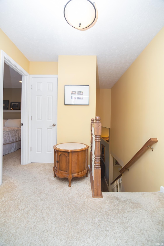 staircase with carpet flooring
