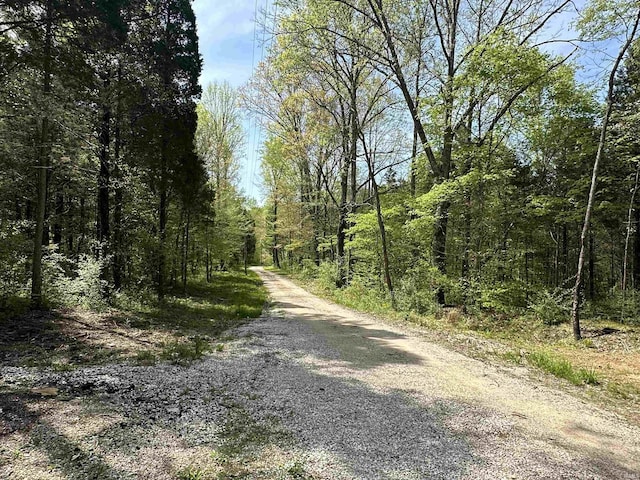 2340 W County Rd 550 S, Paoli, IN 47454 - view of road with a view of trees