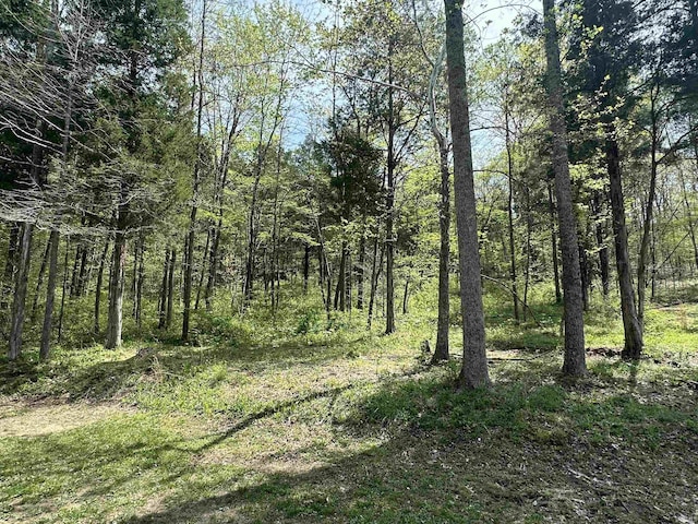 2340 W County Rd 550 S, Paoli, IN 47454 - view of landscape featuring a wooded view