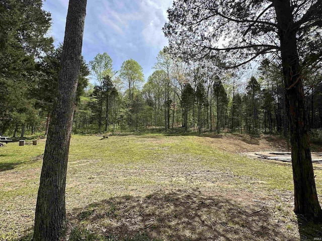2340 W County Rd 550 S, Paoli, IN 47454 - view of nature featuring a wooded view
