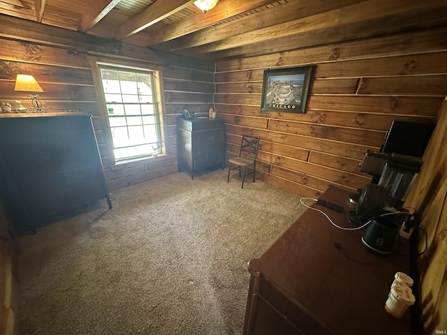 2340 W County Rd 550 S, Paoli, IN 47454 - basement featuring wooden walls and carpet floors