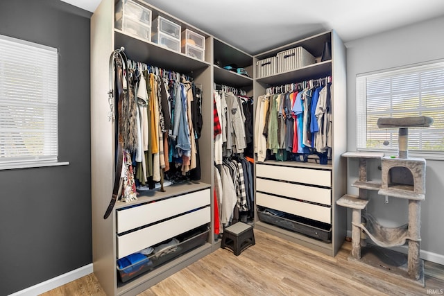 walk in closet featuring wood finished floors