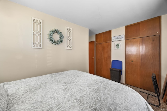 bedroom featuring carpet floors and a closet