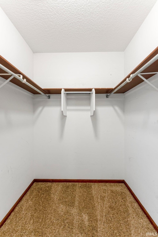 walk in closet featuring carpet