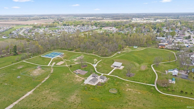 drone / aerial view