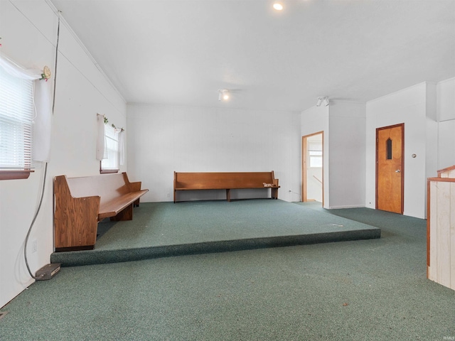 unfurnished bedroom featuring carpet flooring and multiple windows