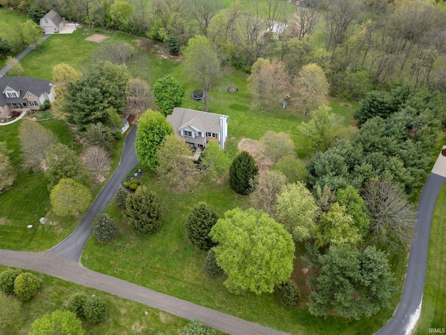 drone / aerial view