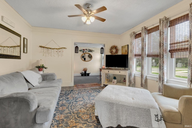 living area featuring ceiling fan and a healthy amount of sunlight