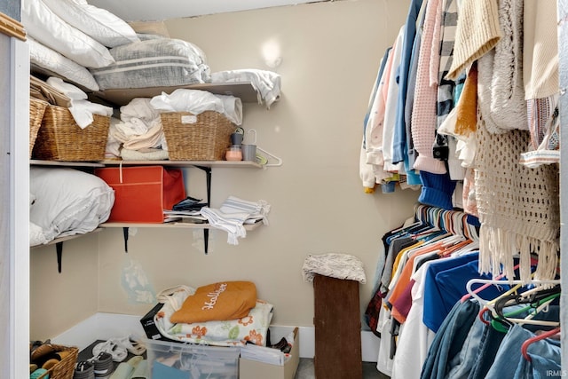 view of walk in closet