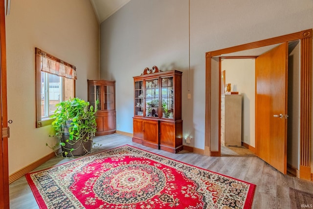 479 W 250 S, Wabash, IN 46992 - entrance foyer featuring wood finished floors, high vaulted ceiling, and baseboards