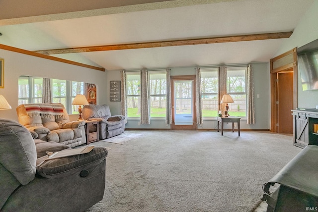 479 W 250 S, Wabash, IN 46992 - view of carpeted living area