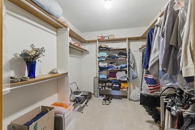 spacious closet with carpet