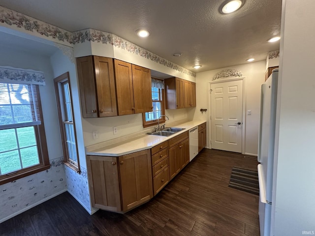 kitchen with a sink, dark wood-style floors, white appliances, and light countertops