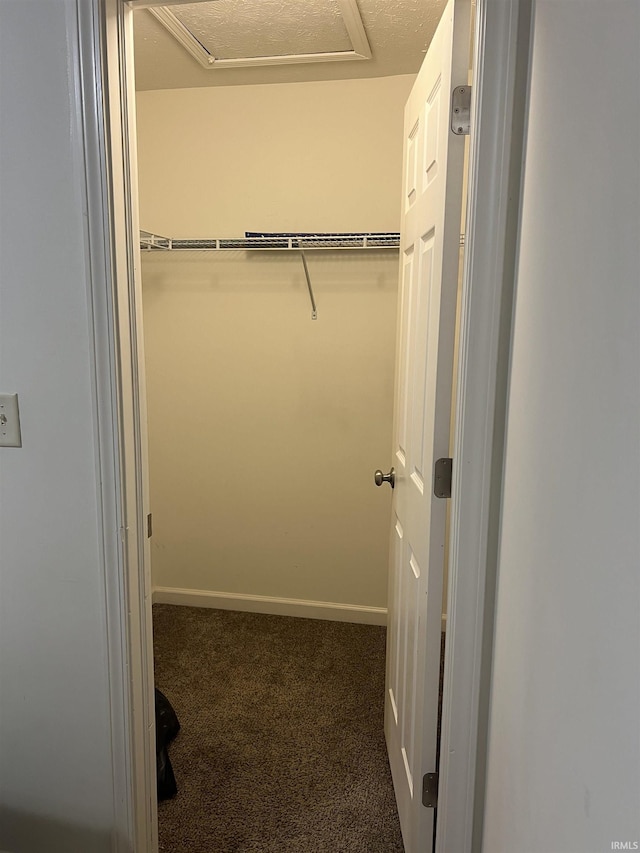 spacious closet with attic access and carpet