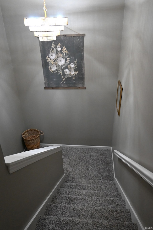 staircase featuring carpet flooring