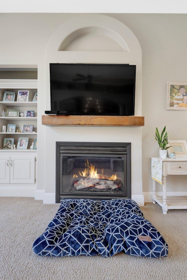 details with carpet and a glass covered fireplace